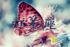 Ůʲô׃Ů(qing)