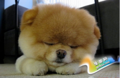 ˥ϵıF(xin)