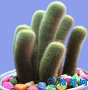 PҔ[ǺLˮ