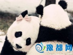 lǸ^ȥ