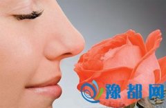 ӸV}