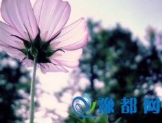 rıF(xin)