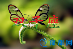 (chng)pʲô(li)o(h)Լ