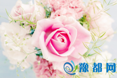 һ仨ܿĿ