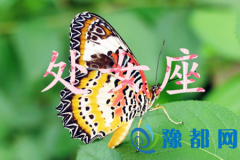 ̎Ů