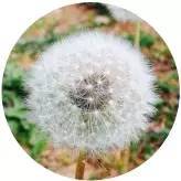 ЮI(y)YУL(zhng)vļҏ(qing)L(zhng)ɳƪУL(zhng)vԒ(li)c(din)ٝ