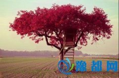 Ǉƽ(hu)Ô(sh)W(xu)ʽf(hu)(sh)W(xu)