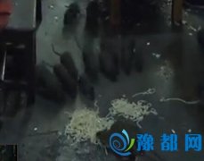 룡ڼB(yng)349ֻ 4˻˽