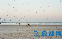 ه20168Ф\(yn)