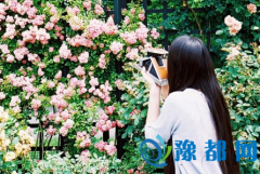 [[Ů׵2016°\(yn)(sh)
