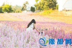 YAO20174Ħ\