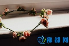 2017Ф\(yn)