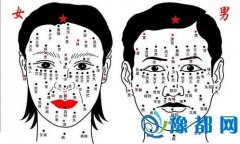 ĘL(zhng)沿D