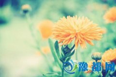 (dng)l(f)opǰΡむ}