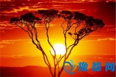 ţįr(sh)ıF(xin)