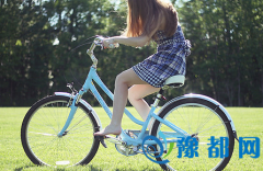 P20168\(yn)