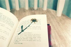 ĳ_(ki)(chng)