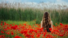 ABѪЌδŮѵ(bio)(zhn)
