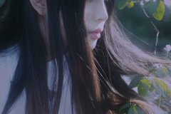 A΢ӛ201711Ы\(yn)(sh)