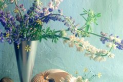 _(zhn)ώ201611ʮФ\